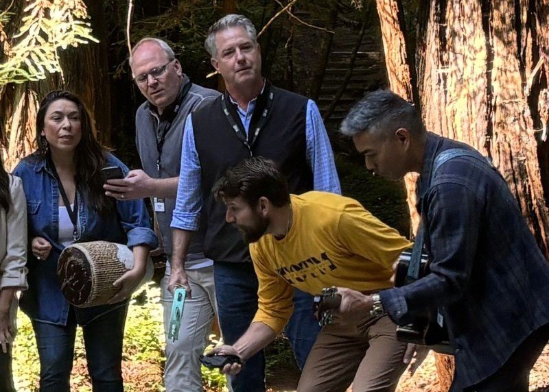 Professional Development